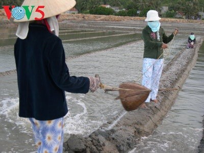 Sa Huynh Salt Village in Quang Ngai - ảnh 1